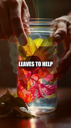 The Amazing Leaf Chromatography Experiment