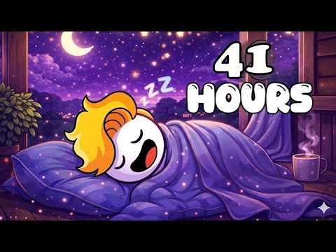 41 HOURS Haminations Compilation (To Sleep To 💤).