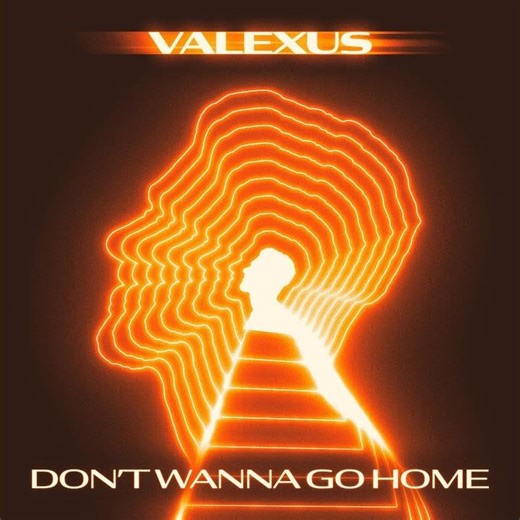 Don't Wanna Go Home (Preview)