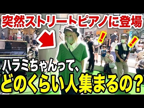 【検証】ハラミちゃんが告知なしでストリートピアノ弾いたら、0人から何人集まるの？【希望の轍/サザンオールスターズ】