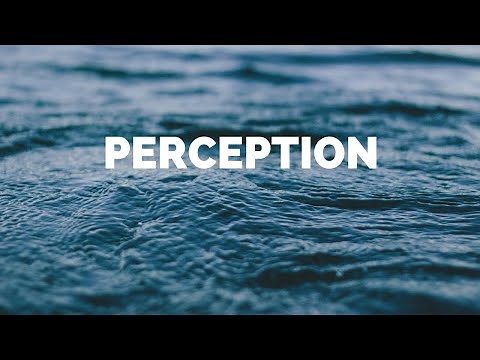 PERCEPTION IN Organisation Behaviour