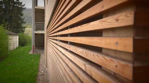 Video. Explained: Alpine wood types and their uses