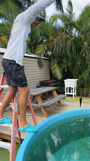 42K views · 650 reactions | Jaws vs Baby Snakehead #largemouthbass #fish #aquarium | RAWWFishing | Facebook