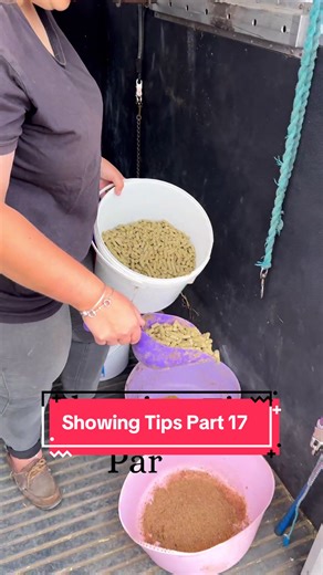Essential Showing Tips Part 17 for Horse Shows