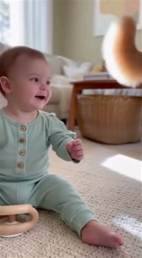 Mom Dog Pull Puppy Away When It is Pulling Baby's Clothes