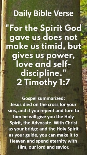 Bible Verse #373 || #gospel #god #jesus #christianity #bibleverse #christ