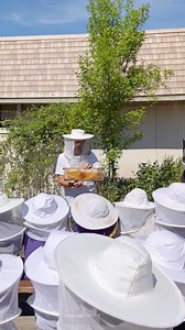 We are proud parents of @thebeecause project, a beloved non-profit that inspires the next generation of environmental stewards while protecting our planet’s precious pollinators 💛✨ #HappyBeesHappyEarth | Savannah Bee Company