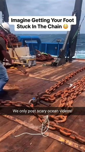 The ocean hides more than just waves... From deep sea mysteries to terrifying encounters, these scary ocean videos will make you think twice before diving in. Beauty, danger, and the unknown-all in one place. #ScaryOcean #DeepSeaFear #OceanMysteries #Thalassophobia #TerrifyingWaters #SeaCreatures #CaughtOnCamera #DarkDepths #NatureIsScary #underwaterhorror | Seaofspecters
