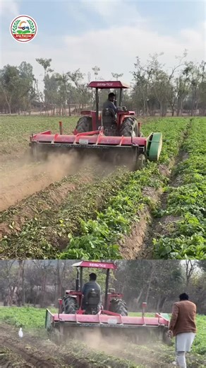 #tractors #agriculture #farmerlife #farming #apnapakistan🇵🇰