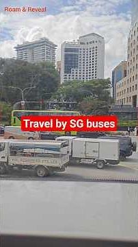 public transport in Singapore l SG buses