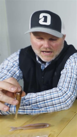 Ultra REALISTIC Swimbait! #bassfishing #fishing