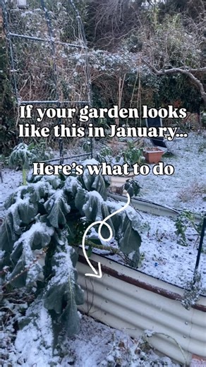 Marie Guillon • Edible Garden Coach on Instagram: "If your garden is under snow right now ❄️ there’s nothing to panic about 😅 This is the perfect time for the behind-the-scenes jobs that make spring easier and more abundant 🌱 Here are 7 January jobs to prepare for spring👇 1️⃣ Order seeds before favourites sell out 2️⃣ Clean and sharpen tools 3️⃣ Feed the birds — your slug-eating army 🐦🛡️ 4️⃣ Review what actually worked last year, and what didn’t 5️⃣ Check your garden structure and layout ❄️