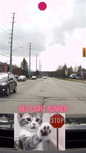 Red Light Runner