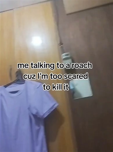 Courage in the Face of Cockroaches: A Fun Stitch