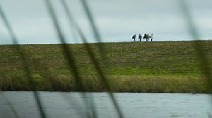 River of Grass: Trailer 1