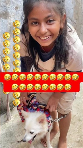 Ab batao kya kare 🤣 #funnypet #dogsofyoutube #funnyanimal #comedy #funnydog #pets #subscribe