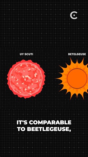 No one knows what's the largest star ever. | Cosmoknowledge