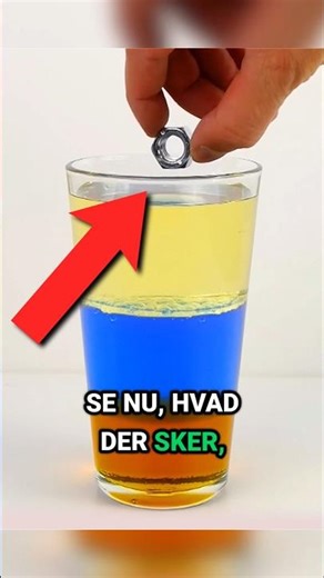 🤯 SEJESTE Eksperiment I Verden! 🧪