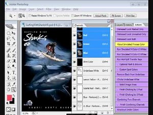 T-Seps Rapid Fire Tour - Fasten Your Seat Belts!