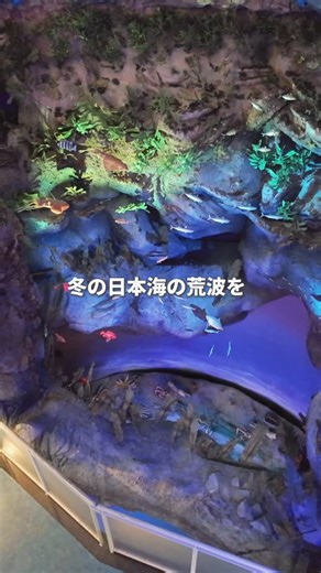 ころたび🧡🩷【大阪発】お出かけ情報•関西お出かけ on Instagram: "𖧷カニ食べたいなら行くべき⭐︎𖧷 ⁡ 越前がに…なんでこんなに高いん？ そう思ってたら“理由”がすごかった！ ⁡ 冬の日本海、 水深200〜400mの荒波でカニを探す “命がけの漁” ⁡ 漁期は11/6〜3/20のたった4ヶ月✨ 港に戻ったら、サイズ・重さ・ 甲羅の硬さ・脚の揃い方で 細かくランク分けされて 黄色タグのカニだけが本物の「越前がに」🦀 ⁡ この道の駅はミュージアムも併設で 知らなかったことがたくさん知ることができた！ ⁡ 行った時は越前ガニの解禁前やったけど 食べ放題が3000円台でめちゃくちゃお得だった！？ ⁡ 今の料金はこちら ⁡ 越前かに付き海鮮バイキング（冬季） 大人：11,000円(越前かに付き) 小学生：2,200円(越前かに無し) 幼児（3~6歳）：1,650円(越前かに無し) ⁡ ⁡ 𓐍◌𓐍◌𓐍◌𓐍◌𓐍◌𓐍