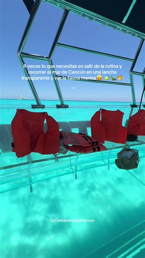 Una de las experiencias más bonitas para recorrer el mar de Cancún y ver la fauna marina 🐢🐠🐙🤩 ¡Una experiencia que no te debes perder en tu próxima visita o si vives en Cancún! Reserva con nosotros 📲 #Cancún #fyp #tour #virall