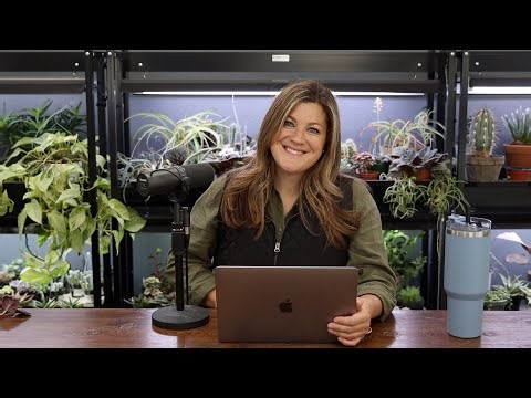 Did You Use Any Pumpkins to Decorate? // What Kind of Bulbs in the Shade? // Recap 🌿