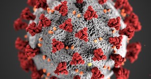 COVID-19 and Environmental Change