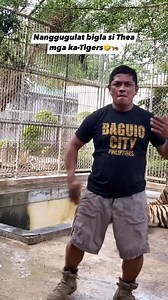 146K reactions · 1.7K shares | Nanggugulat bigla itong si Thea mga ka-Tigers藍 #cpbalstiger #reelschallengereelschallenge #alstigerdavaooccidental #reelstrending #reelsfacebook #reelschallenge #fyp #reels #tigers #ForEntertainmentPurposesOnly | Als Tiger Davao Occidental | Facebook