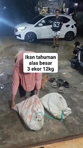Dapat kiriman iwak dari kampung Bila nya kada banyak dapat iwaknya di kirim ja rajin bila ada yang ke Buntok, soalnya Amun ma ambil iwak nya kada banyak kada Bulik ongkos minyak nya geass ae #reels #fbpro #video #viral #bonus #fyp #jangkauanluas | Mariati