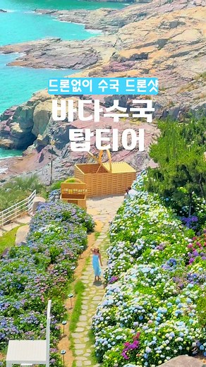거제 바다와 수국이 함께! 브런치 맛집 카페 바람의언덕 소개