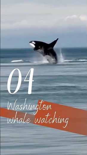 Top 10 Best Places to Watch Whales in the USA You Can't Miss! 🐋🇺🇸