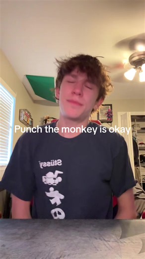 #punchthemonkey | monkey videos