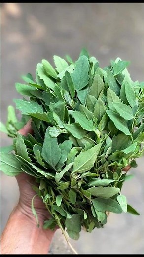Top 10 Healthy Green Vegetables 🥬🔥 | Best Veggies For Strong & Healthy Body #shorts #viral