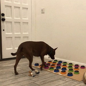 41K views · 492 reactions | 5 WORDS... 3 DIFFERENT THOUGHTS!! 勞 •...