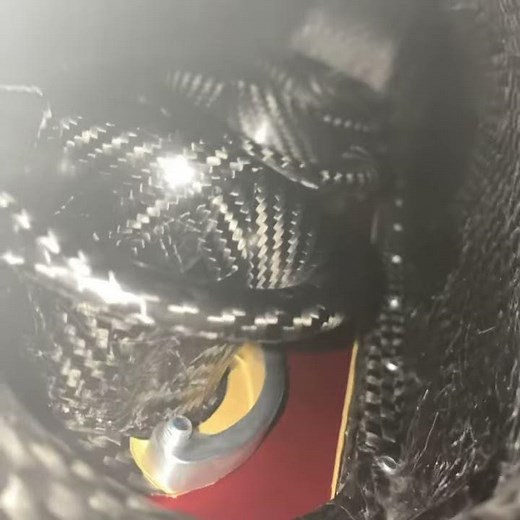 PracWorks Carbon intake manifold , view from inside the plenum