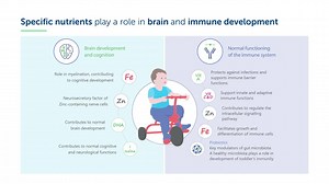 16 reactions | The immune system changes dynamically during the first years of life and undergoes significant maturation to better support protection against infections. Do you want to know more about important factors shaping immunity during toddlerhood? View the full infographic here: https://bddy.me/2YN1pzy | Nestlé Nutrition Institute | Facebook
