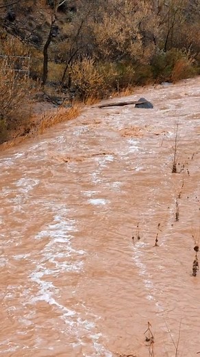 Not all rivers stick to one direction—under rare conditions like earthquakes, tides, or shifting land, some rivers can actually reverse their flow! Nature’s currents aren’t always predictable. ✨ #BrainBloopers #WeirdFacts #DidYouKnow #RiverFacts #NatureFacts #StrangeButTrue | BRAIN Bloopers | Facebook