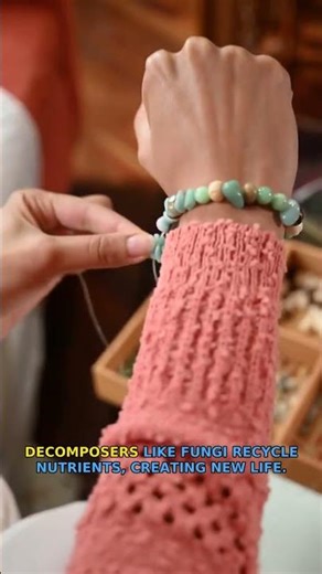 Ever truly looked inside a mushroom's delicate world