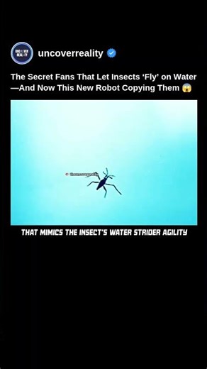 The Secret Fans That Let Insect Fly On Water. Now This Robot Is Copying Them 😱 #robot #shorts #tech