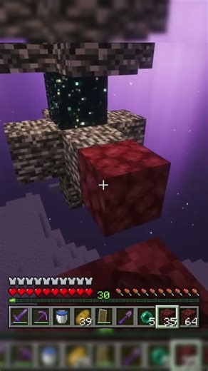 Just lost all of my max enchantee netherite tools to a glitch