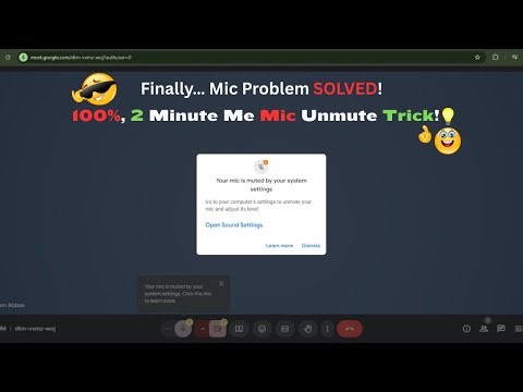 How to Fix Your Mic is Muted by System Settings in Google Meet