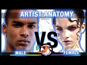 Artist Anatomy - Male vs Female - Head