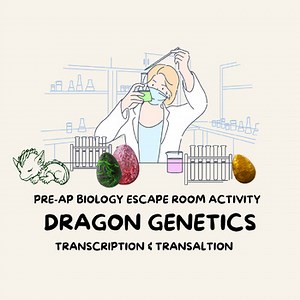 Pre-AP Biology: Dragon Genetics Challenge, Transcription & Translation Activity
