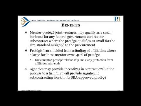The SBA New Mentor Protégé Program for All Small Businesses