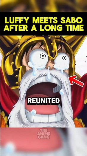 Luffy meets Sabo again after a long time😭💔