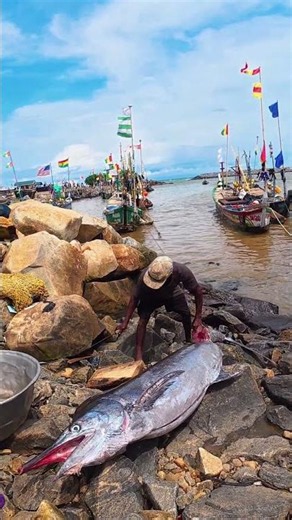 Swordfish Cutting is CRAZY at the Beach