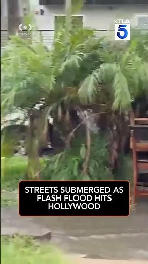 Hollywood Flooding