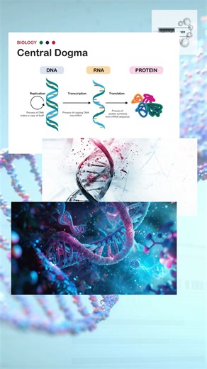 Nick Pulliam, PhD | Science 101 on Instagram: "What’s the difference between DNA and RNA? In this quick science short, we break down DNA vs RNA — structure, function, and why both matter for life. Perfect for students, learners, and the science-curious. What other genetic topics should we explain in 15 seconds? #dna #rna #biology #science101 #science101studios #thescience101"
