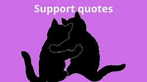 Best support quotes to encourage you in life