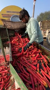 465K views · 1.2K reactions | Amazing Carrot Washing Machine in Asia's Largest Carrot Market #carrots #Amazing | Time Box | Facebook